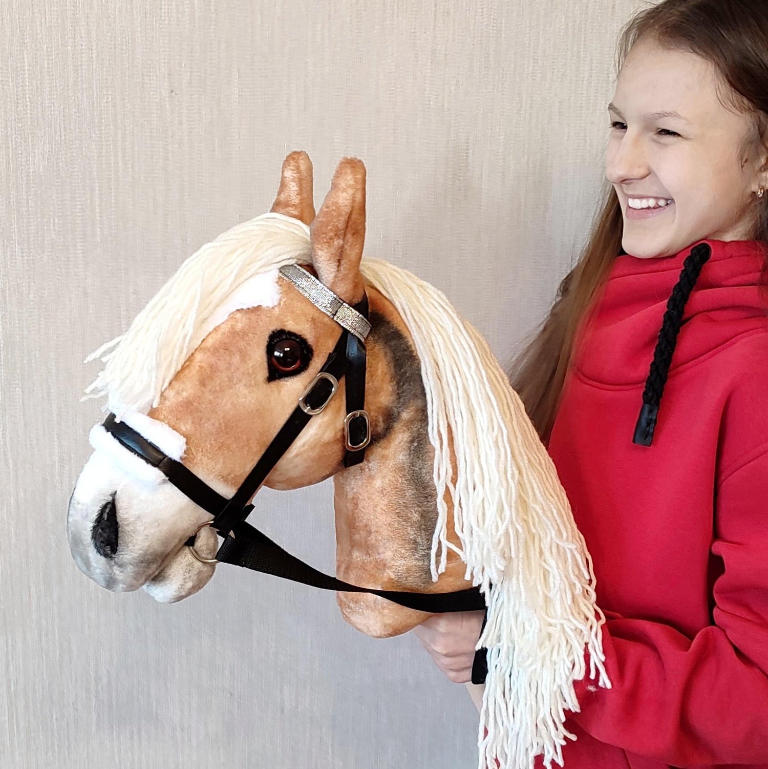 Hobby horses for older children