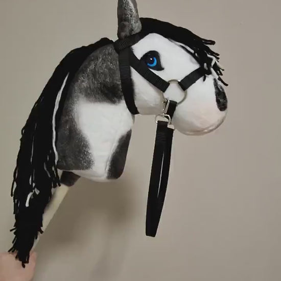 Hobby horse pinto A4 - Paint hobby horse black white - Toy horse on stick